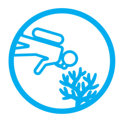 Restauración de Hábitat