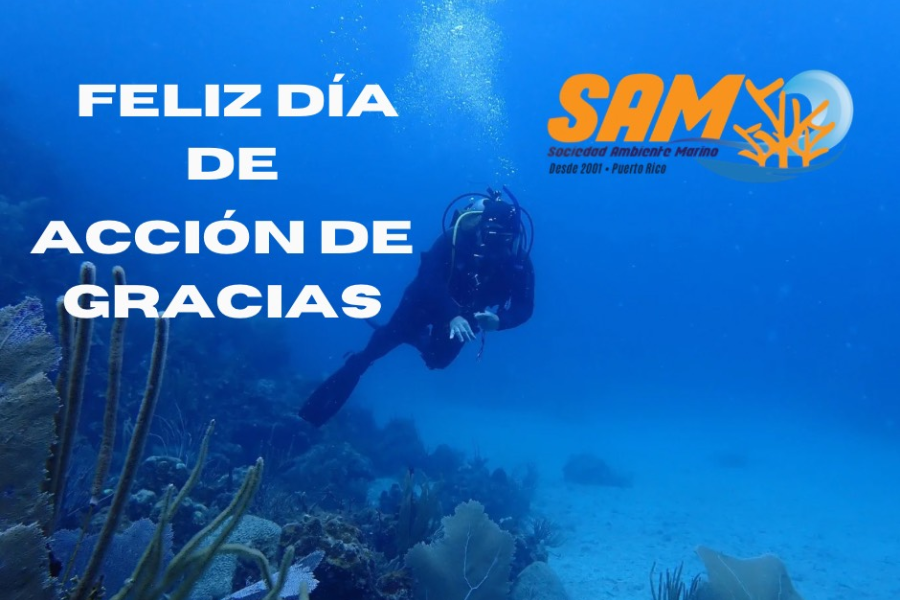 Noticia-accion-de-gracias