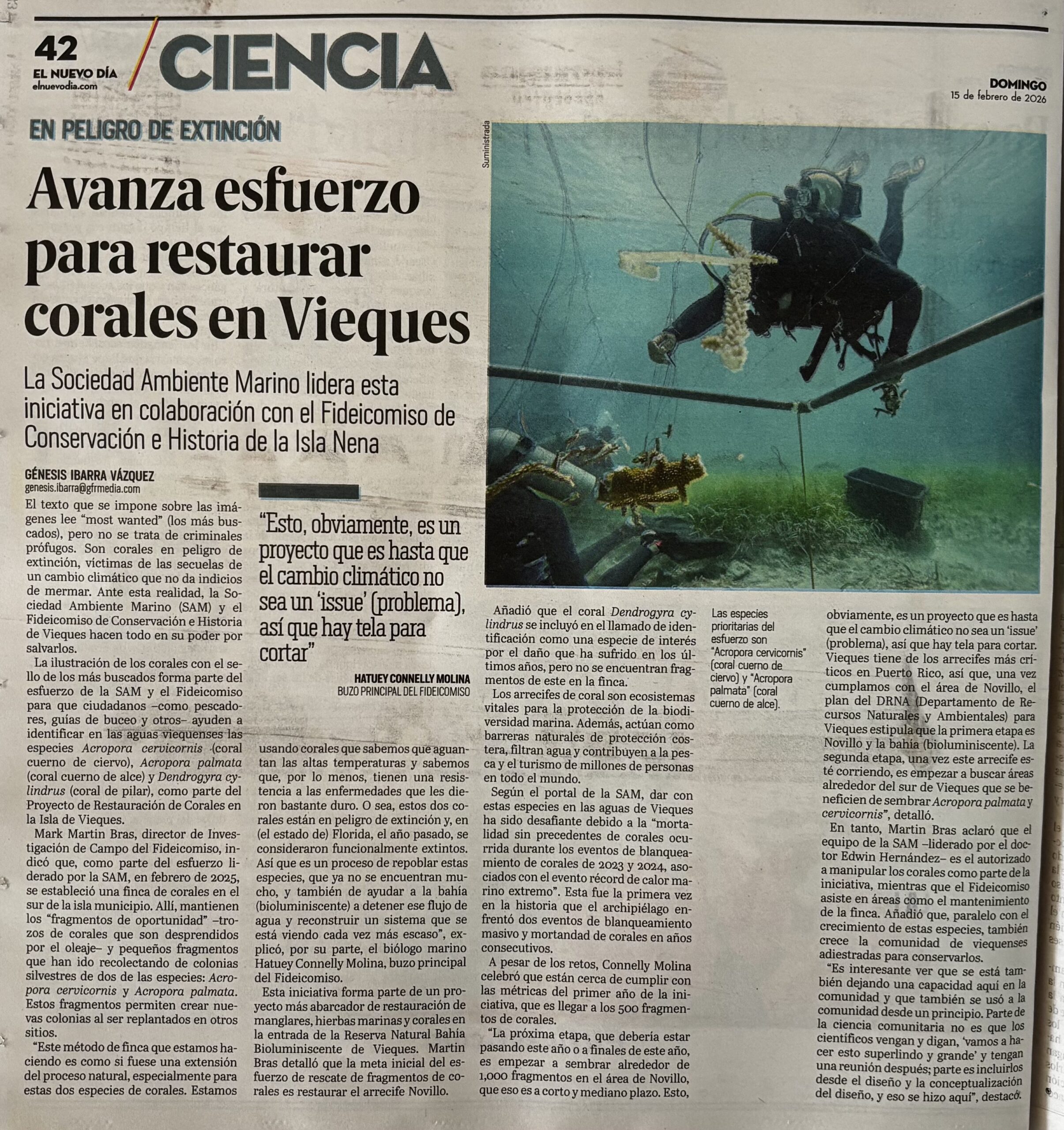 endia-periodico-2022-02-15