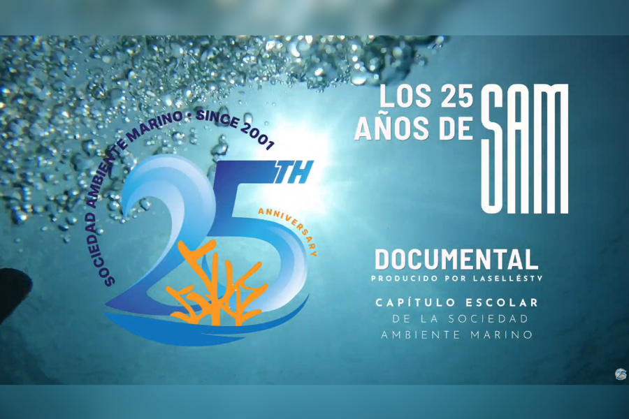 documental-cover